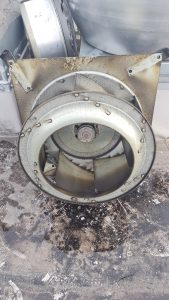 ventilator nape